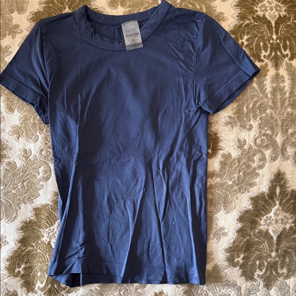 Aritzia Sunday Best Blue Crew Neck T-Shirt